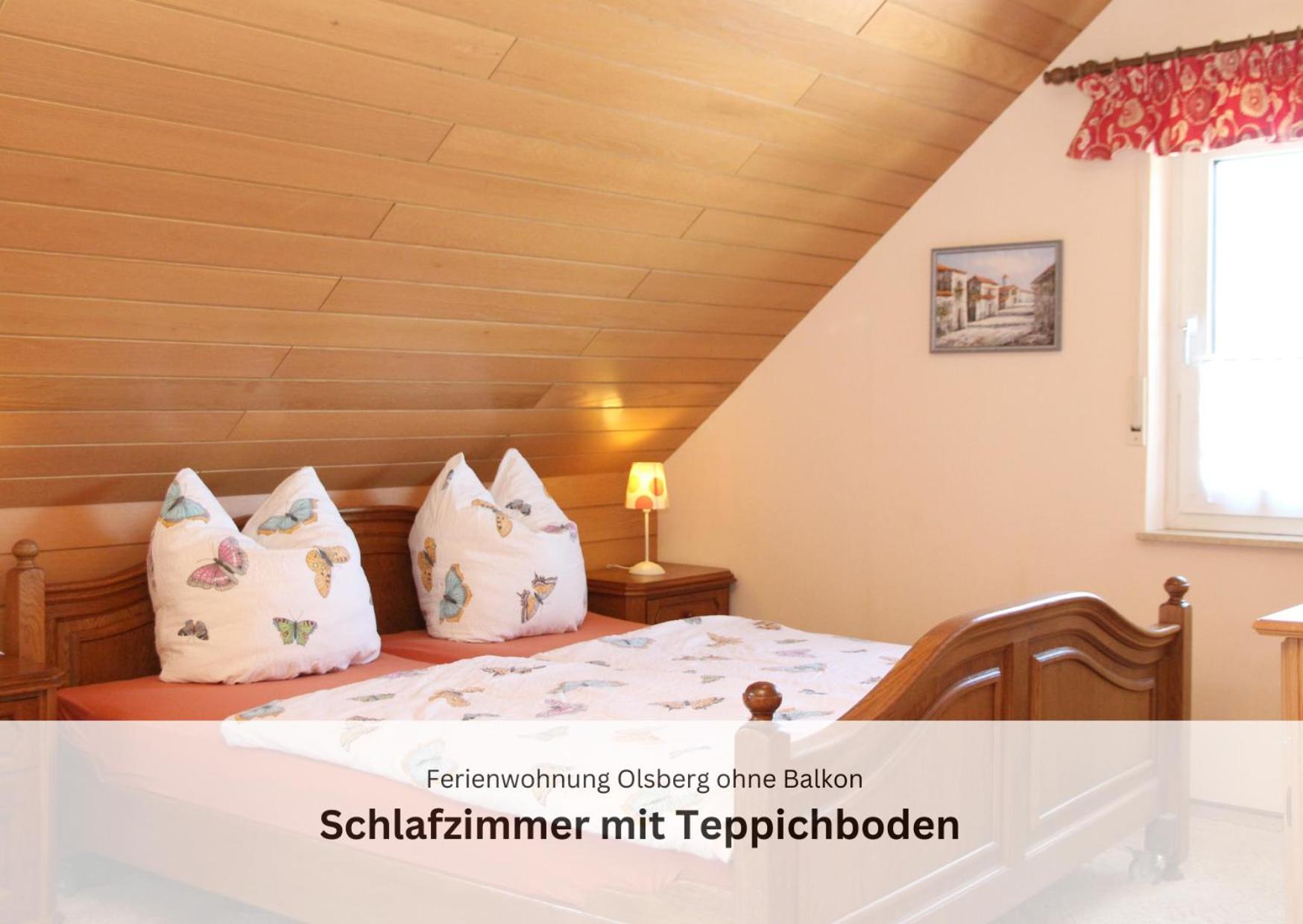 Ferienwohnungen Sauerland Und Олсберг Екстериор снимка