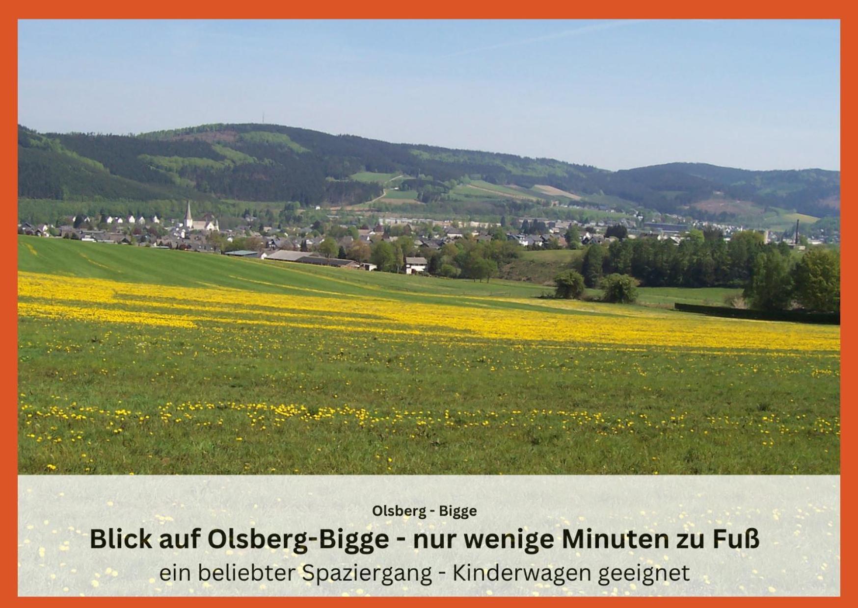 Ferienwohnungen Sauerland Und Олсберг Екстериор снимка