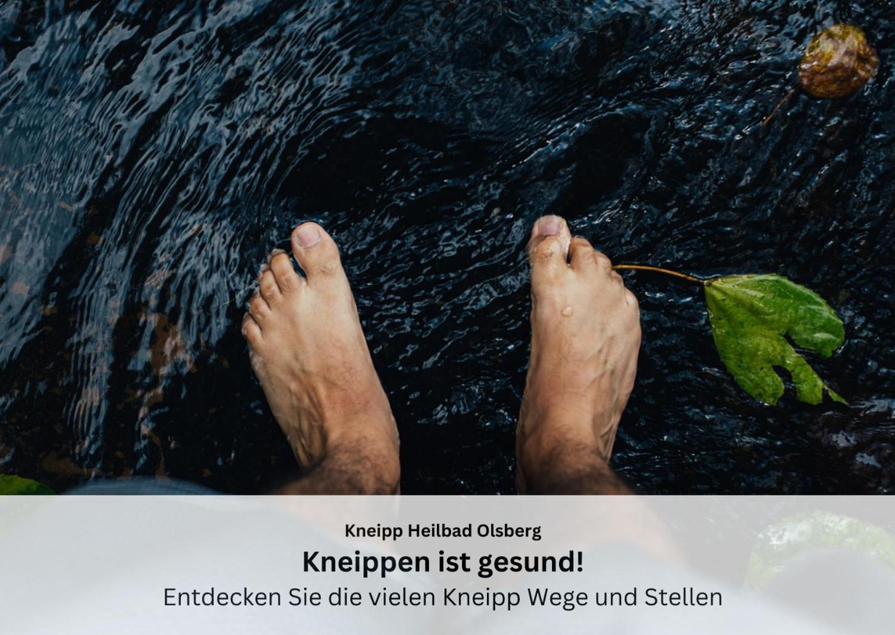 Ferienwohnungen Sauerland Und Олсберг Екстериор снимка