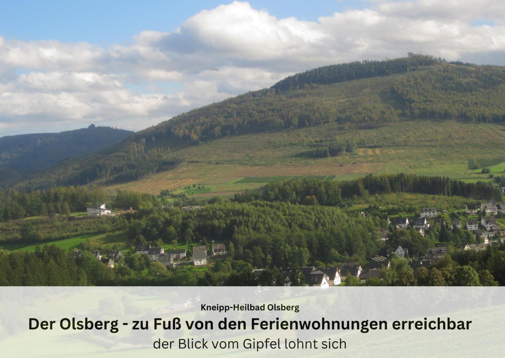 Ferienwohnungen Sauerland Und Олсберг Екстериор снимка