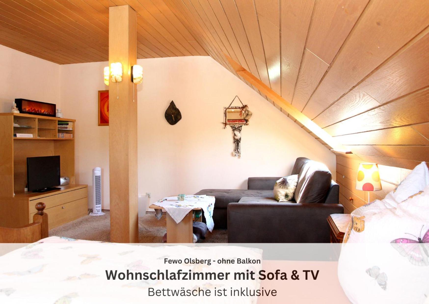 Ferienwohnungen Sauerland Und Олсберг Екстериор снимка