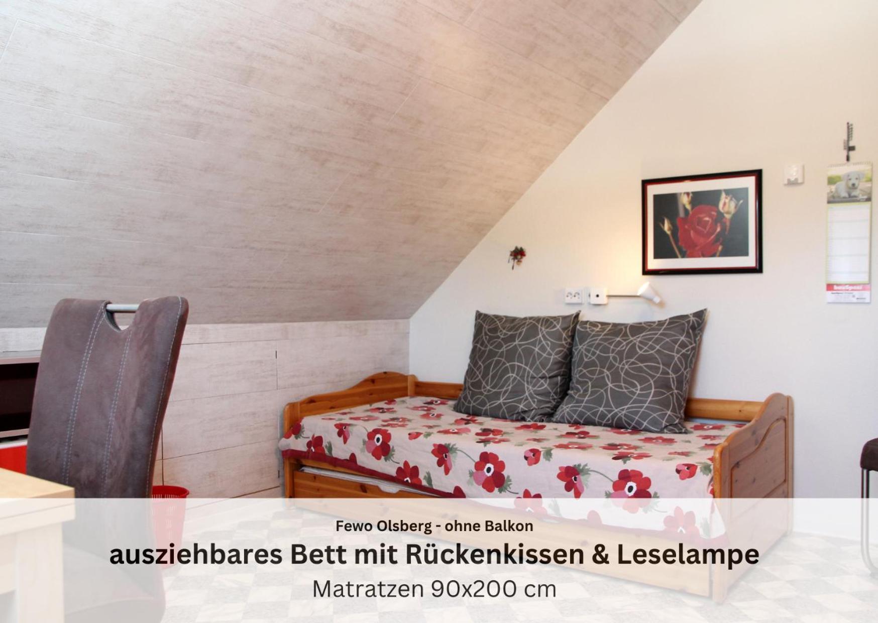Ferienwohnungen Sauerland Und Олсберг Екстериор снимка