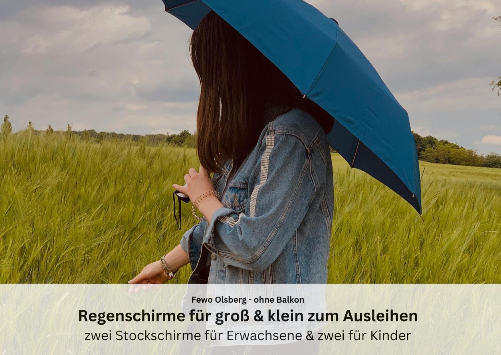 Ferienwohnungen Sauerland Und Олсберг Екстериор снимка