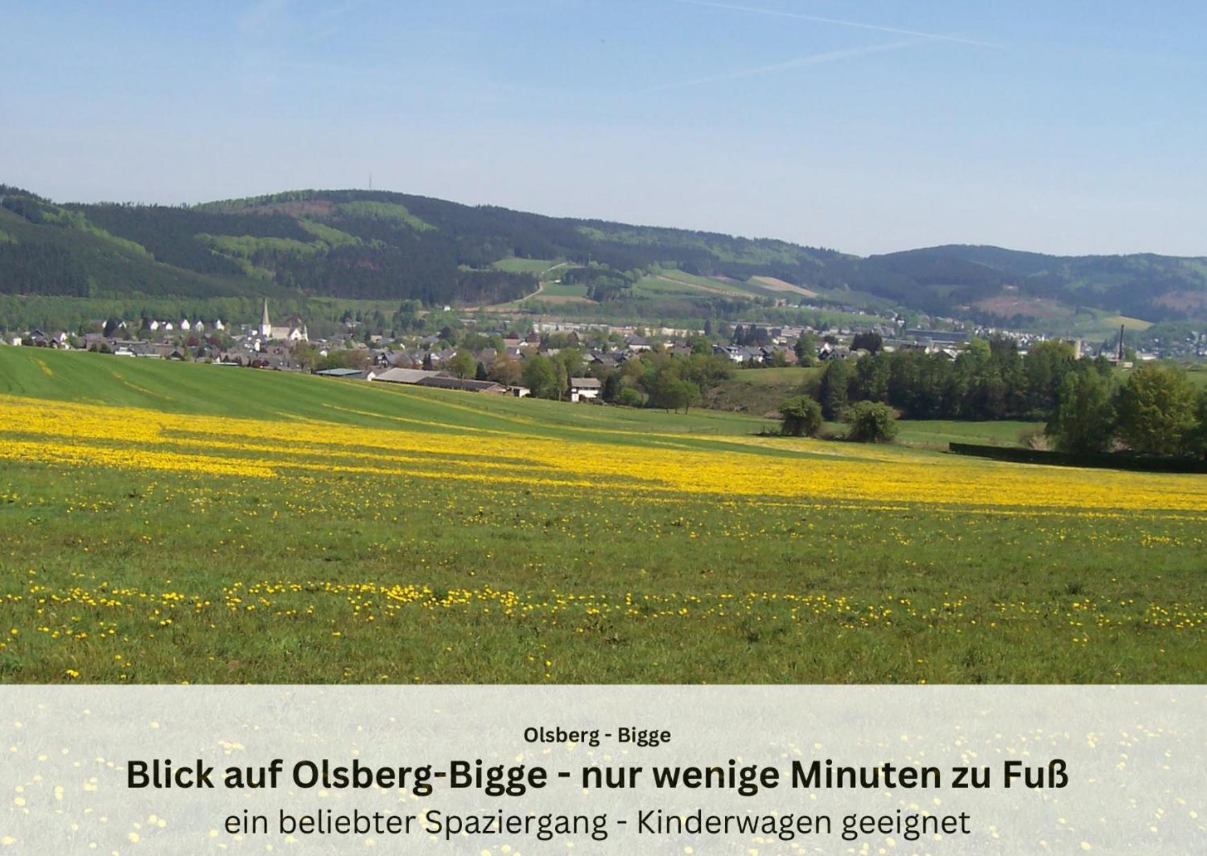 Ferienwohnungen Sauerland Und Олсберг Екстериор снимка