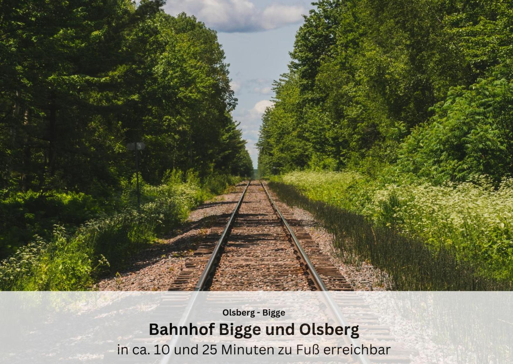 Ferienwohnungen Sauerland Und Олсберг Екстериор снимка